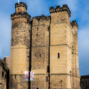 Digital Photo Downloads